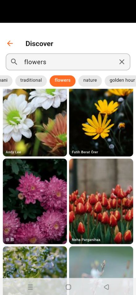 Discover screen with style search